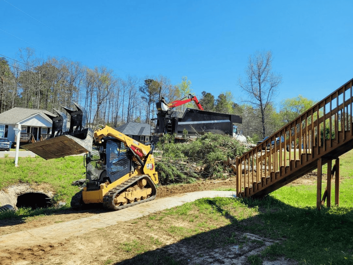 Kindom Tree Cuts Tree Removal